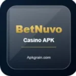 BetNuvo Casino